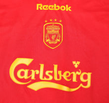 Load image into Gallery viewer, 45690008